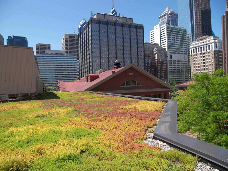 paysagiste-CAGNES SUR MER-min_green-roof-portfolio-4